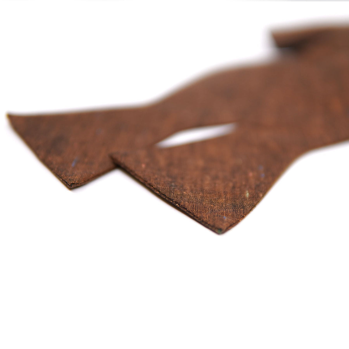 Lucky Penny - Men's Self-tie Bow Tie