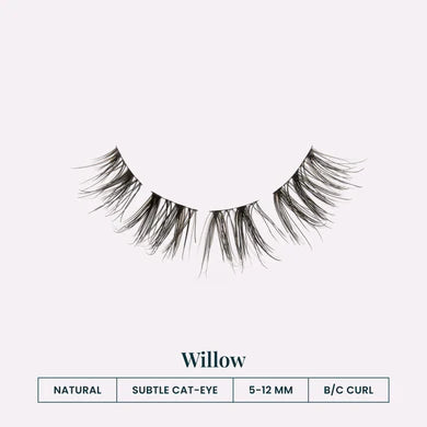 Willow 6pk