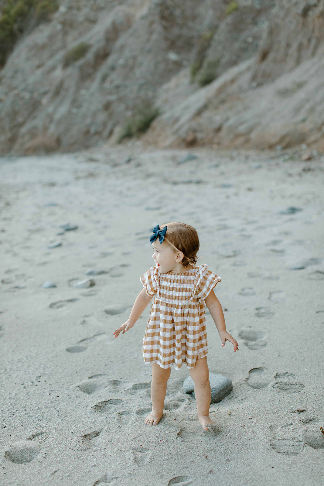 Lake House Petite Hair Bow