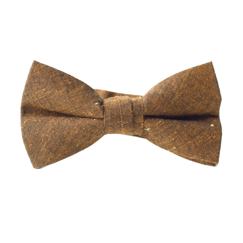 Lucky Penny Bow Tie for Boys