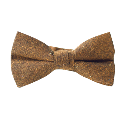 Lucky Penny Bow Tie for Boys