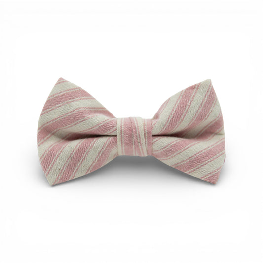 Peony Stripe - Boys Bow Tie