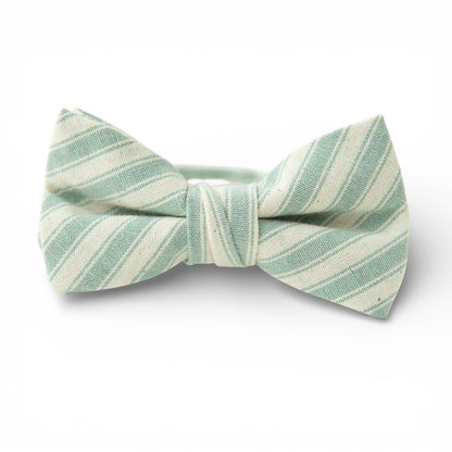 Pistachio Stripe - Boys Bow Tie