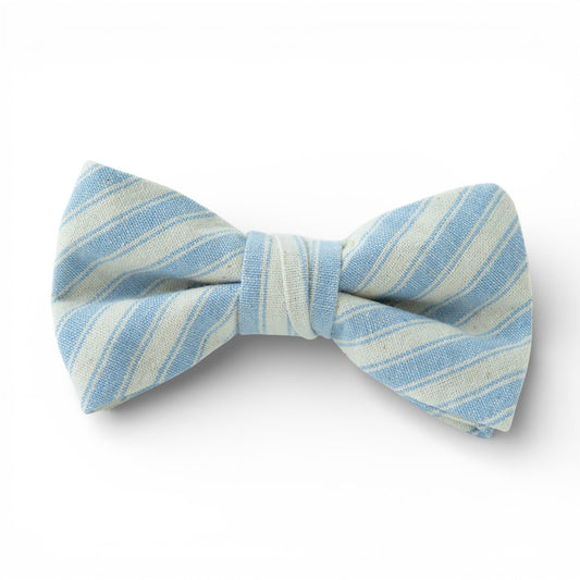 Robin Egg Stripe - Boys Bow Tie