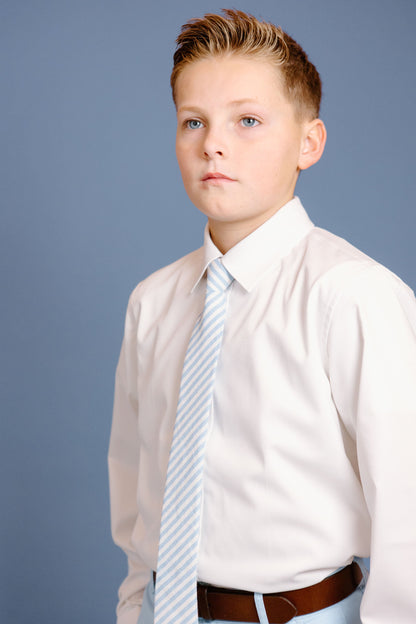 Robin Egg Stripe -  Boys Tie