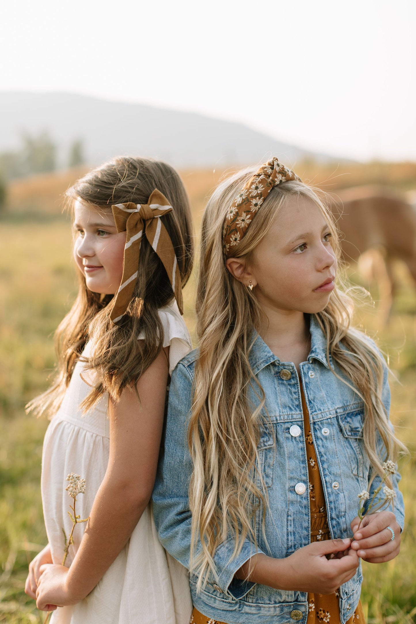 Canyon Lady Hair Bow