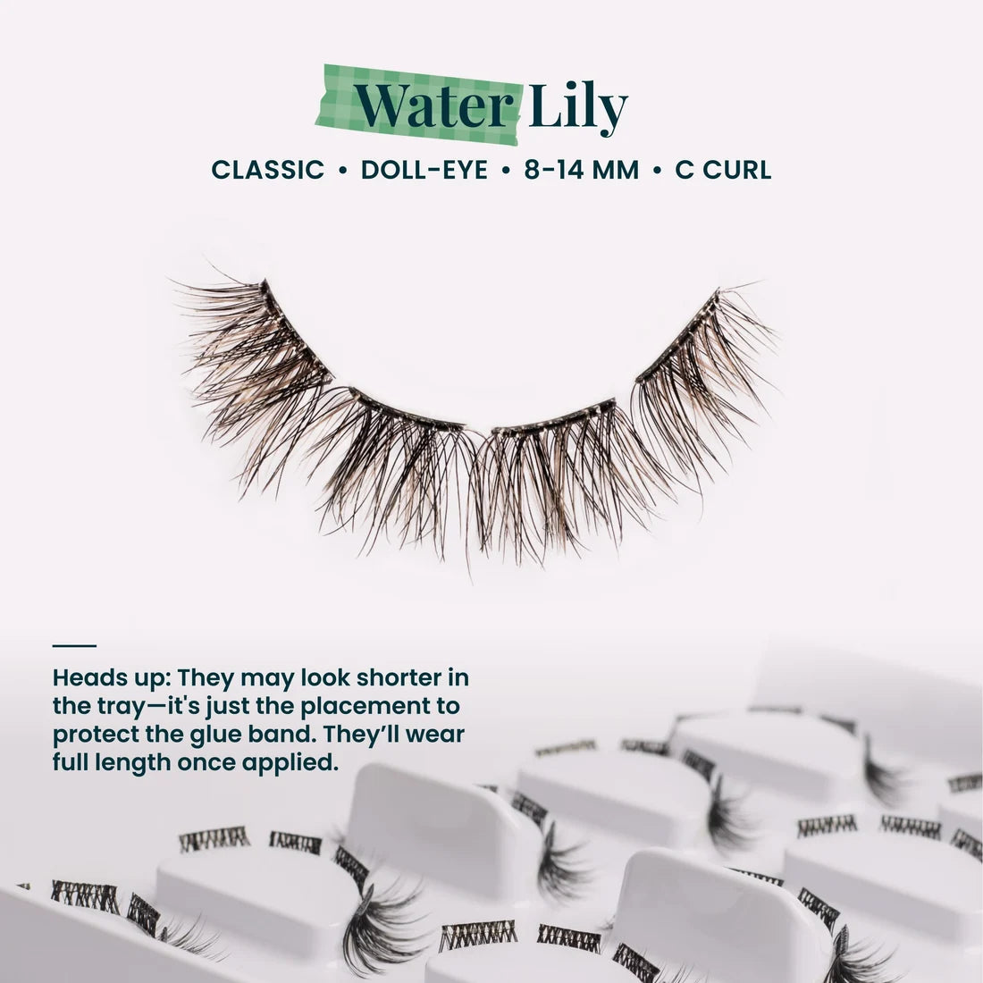 Water Lily Pre-Glued 2pk