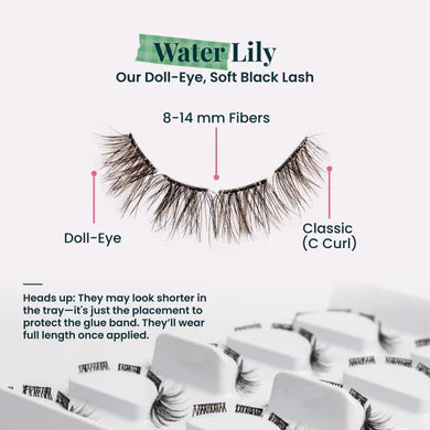 Water Lilly Pre-glued 5 pack